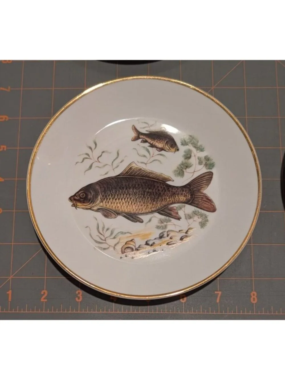 Vtg Fish Porcelain Serving Plate & Appetizer Dish Set - (6) Awesome Colors